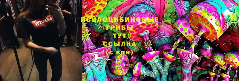 Галлюциногенные грибы MAGIC MUSHROOMS  Дмитров 